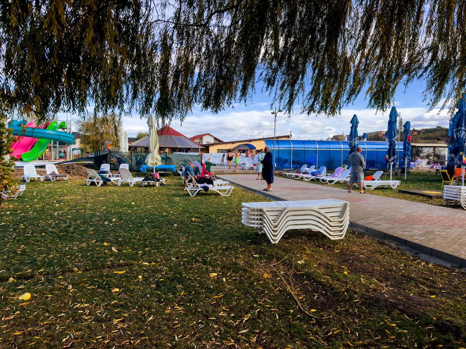 Zöld park a strandon ősszel